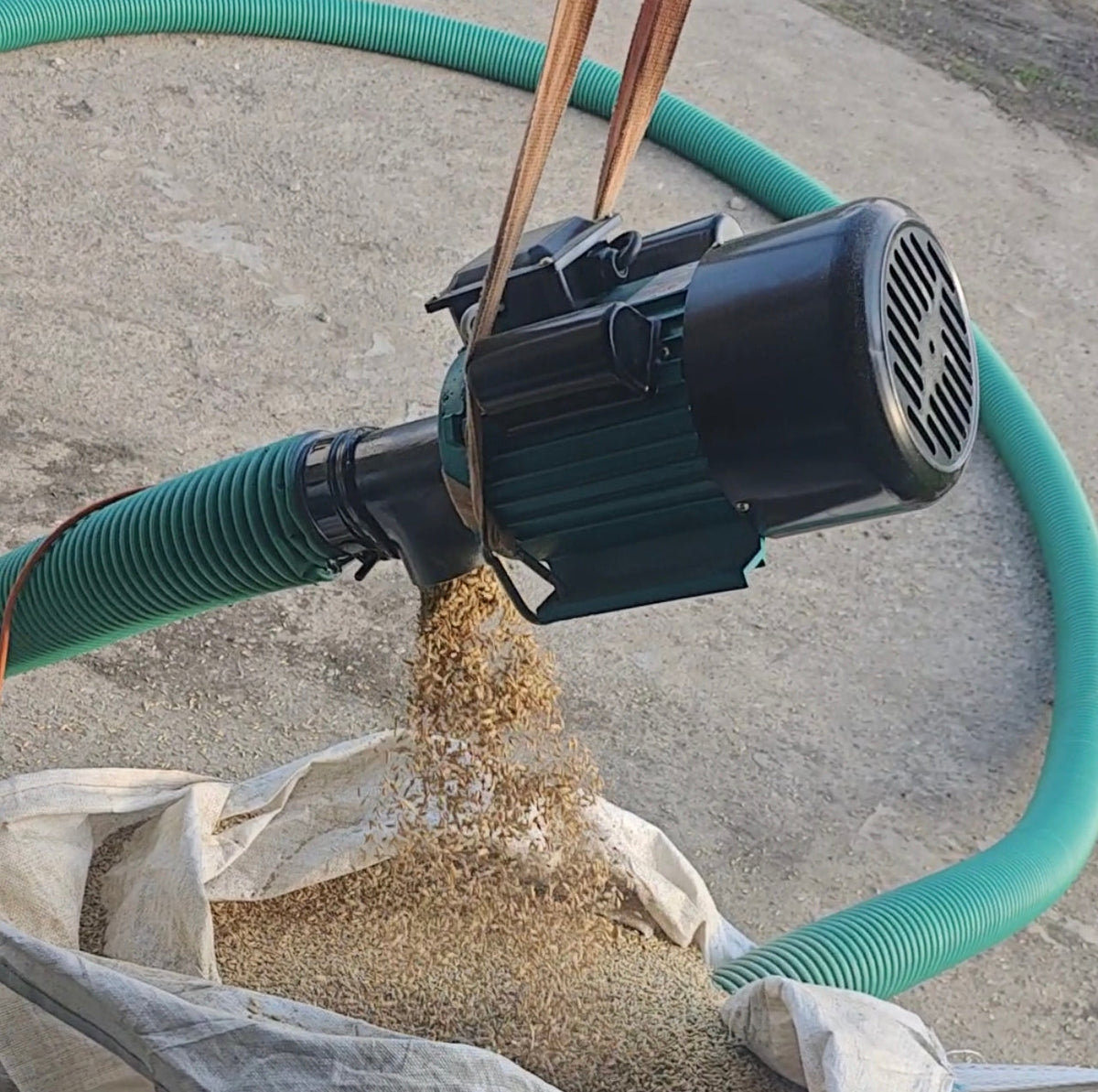 Coclea Flex 220V
