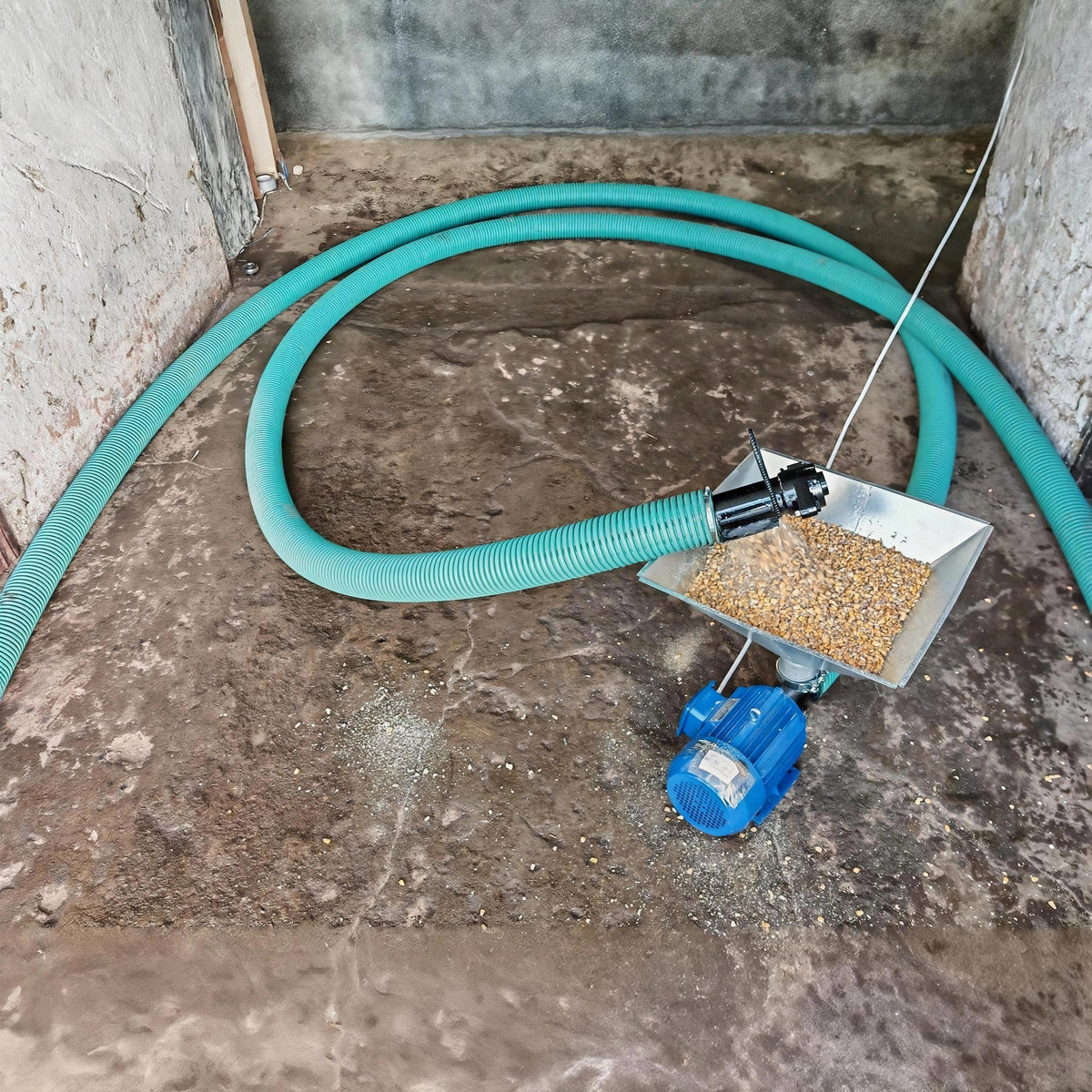 Trasportatore a coclea flessibile con tramoggia per farina - 380V